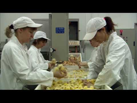 Unser täglich Brot 2005