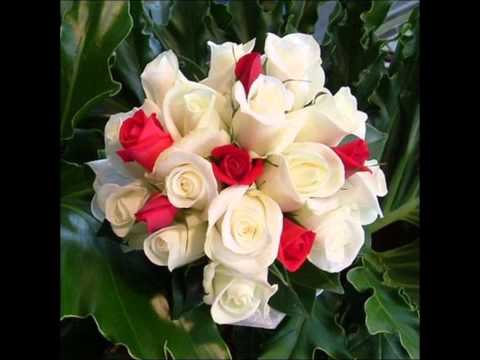 Happy Birthday dr.SAMEH EL TAHER