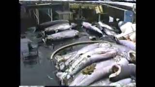 SARA T &amp; Andrea Gail October 1988 Flemish Cap