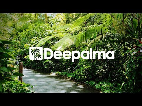 Matthew1626 feat. Jeff Brown - Under the Sun (Surco Remix) [Déepalma Records]