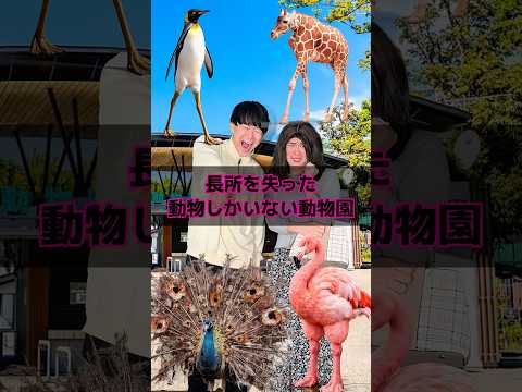 長所を失った動物しかいない動物園