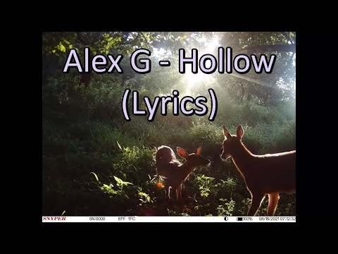 Hollow - Alex G
