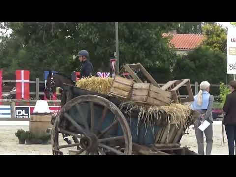 World Championship Working Equitation 2022 in les Herbiers maniabilitè Maldea Mihai on BENJAMIN