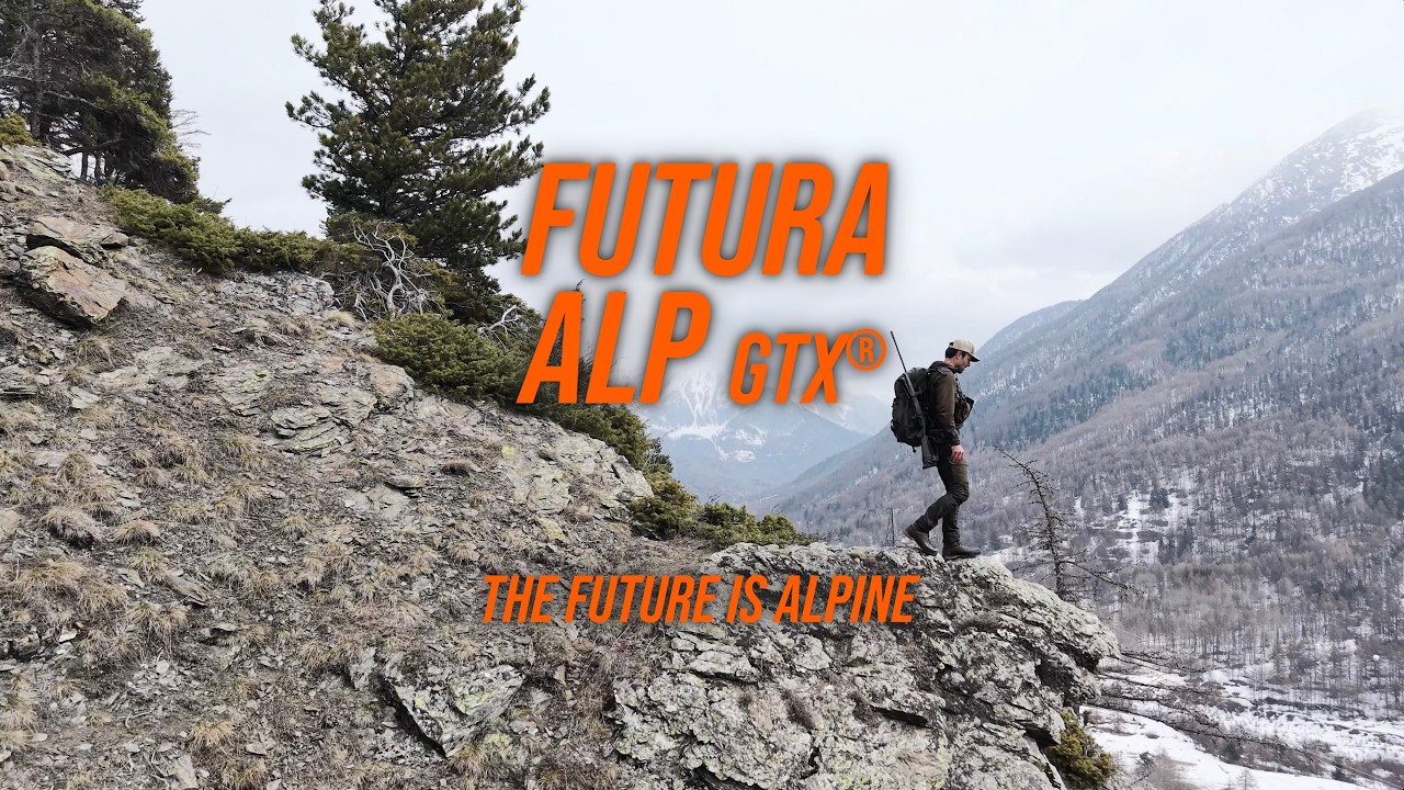 Video Articolo