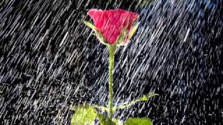 JOAN  SEBASTIAN:  APUESTO... LETRA!!