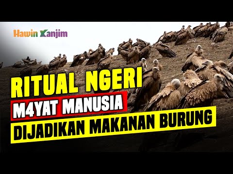 Horrifying Ritual: Human Corpses Fed to Birds || Sky Burial in Tibet