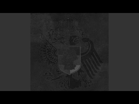 Ein Blick in den Himmel