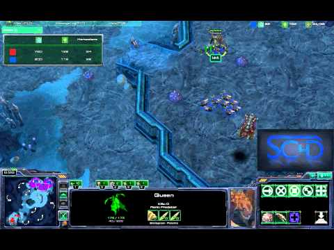 Starcraft 2 SC4D Pro Match #2 - Idra vs SeleCT