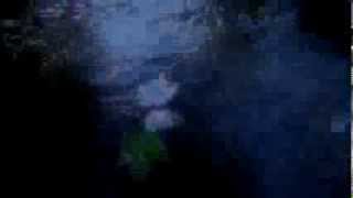 Lycia - Silver Sliver