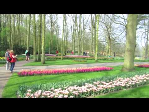 keukenhof Holland