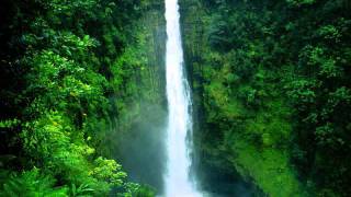 ムービー  Akaka Falls