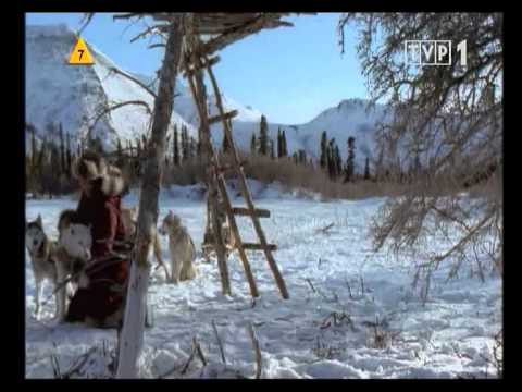 Ostatni Traper   Le Dernier trappeur   2004   Lektor PL