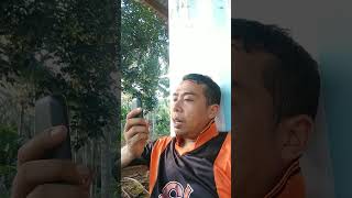 Download lagu asek betine aje yg angkat tlpn mp3 Download lagu asek betine aje yg angkat tlpn mp3
