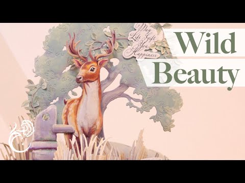 Wild Beauty Collection - Launch Show