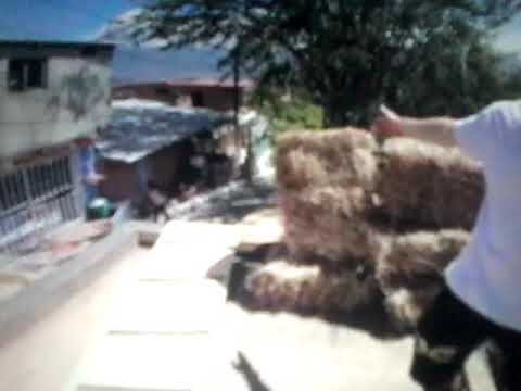 CRAZY URBAN MTB DOWNHILL TRACK FULL RACE