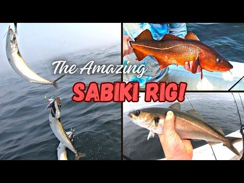 Fishing with a Sabiki Rig | Jigging for Mackerel, Pollock, Cunner, and Cod in Maine |