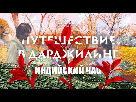 Дарджилинг Аппер Фагу  (весна 2020, первый сбор)