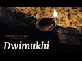 Dwimukhi Sounds Of Isha