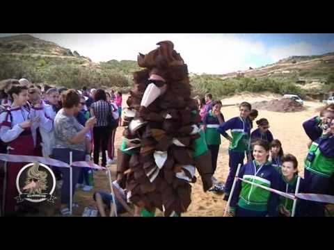 Turtle Release Gnejna Bay