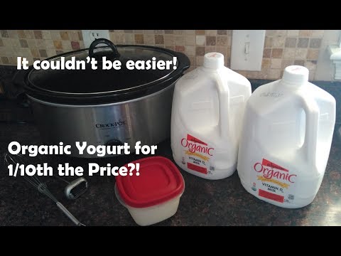 download lagu mp3 mp4 Whole Milk Yogurt, download lagu Whole Milk Yogurt gratis, unduh video klip Whole Milk Yogurt