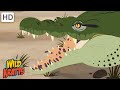 Crocodiles Huge Reptiles Of The Nile Full Episodes Wild Kratts