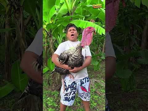 the turkey #shorts #comedy #humor