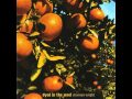 Shannon Wright - You Hurry Wonder 
