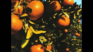 Shannon Wright - You Hurry Wonder