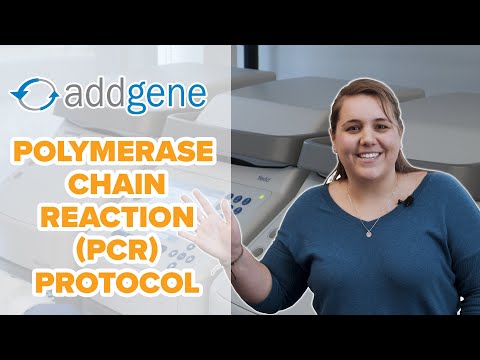 Polymerase Chain Reaction (PCR) Protocol