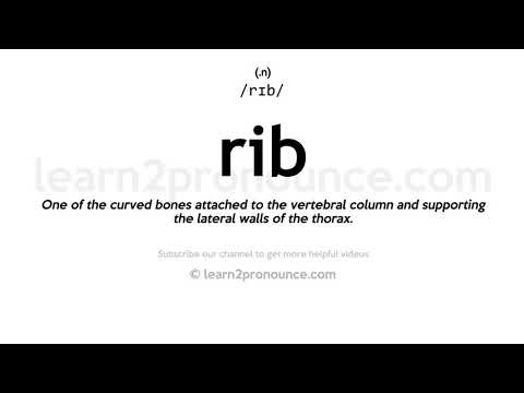 Pronunciation of Rib | Definition of Rib