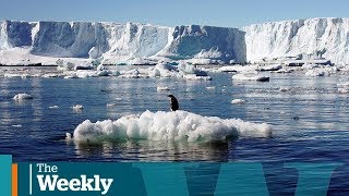 U.S. government sued over climate change | The Weekly with Wendy Mesley