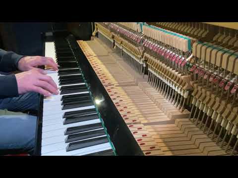 PATRICK HAMILTON - La danse d'amour (LIVE VERSION)