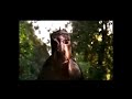 Disney Snart På Bio Dinosaurier Reklam Hyrfilm VHS Trailer