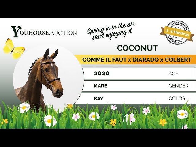 Coconaat