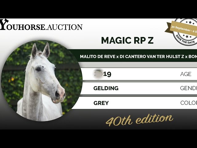 Youhorse.auction | Magic RP Z