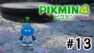 【ピクミン4】ダンドリ力は大事なスキル！#13