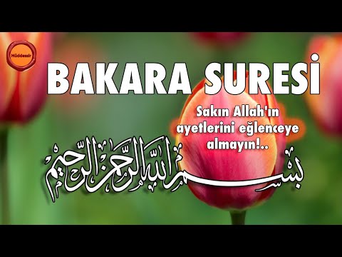 Bakara Suresi - Nasser al Qatami