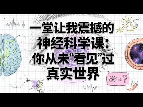 【推荐观看后面更新后的升级版】神经科学震撼真相 | 你从未看见过真实世界 | 感觉与知觉的奥秘