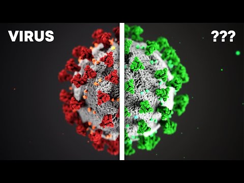 Der Unterschied zwischen VIREN und BAKTERIEN