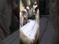 Hashr Mein Phir Milenge Mere Doston Shortsvideo Youtubeshorts Viralvideo Shorts Maqsood