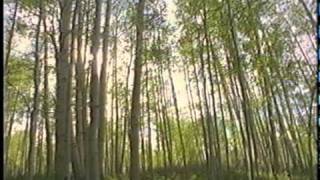 Rollerblade Coyote Promo 1997 AVI