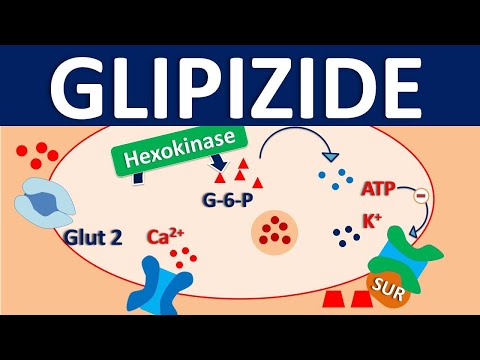 Glynase XL 5 mg  Glipizide SR Tablet