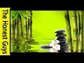 3 HOURS Relaxing Music Spa Meditation Sleep Background Study Relaxation Zen