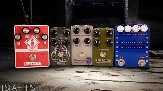 It's a MUFF-OFF...!!! Dazatronyx Muff-Fuzz Shootout