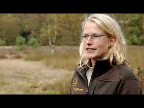 Werken bij de Bosgroepen: Ecologie