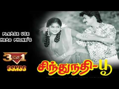 Adi Aaththi Vaadaiyila(Sindhu Nadhi Poo)High Quality Clear Audio Song.