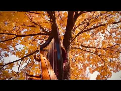 Promotional video thumbnail 3 for Mystical Harp