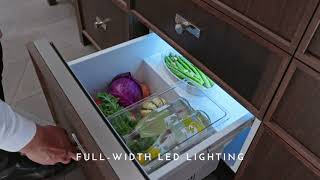 Monogram GE Monogram® Double-Drawer Refrigerator Module Panel Ready ZIDI240BII Picture
