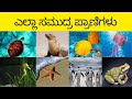 All Water Animals Names in Kannada.ಎಲ್ಲಾ ಸಮುದ್ರ ಪ್ರಾಣಿಗಳ ಹೆಸರು ಕನ್