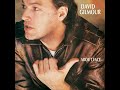 David Gilmour - Cruise